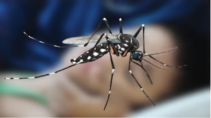 ডেঙ্গুতে আরও ৪ জনের মৃত্যু