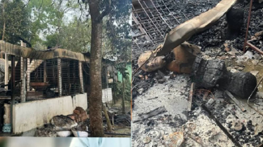 ফ্যাসিস্টের মুখাকৃতি তৈরির অভিযোগে চিত্রশিল্পীর বাড়িতে হামলা