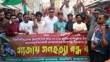 গাঁজায় গণহত্যার প্রতিবাদে পাঁচবিবির ছাত্রদলের বিক্ষোভ 