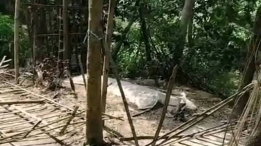 বৈষম্যবিরোধী ছাত্র আন্দোলনে শহীদের কব‌রের ওপর আ’লীগের হামলা 
