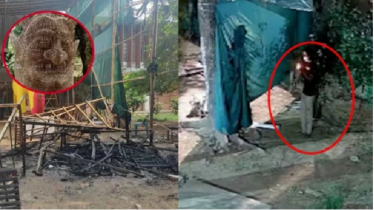 জঙ্গি ছাত্রলীগ পুড়িয়েছে ‘ফ্যাসিবাদের মোটিফ’
