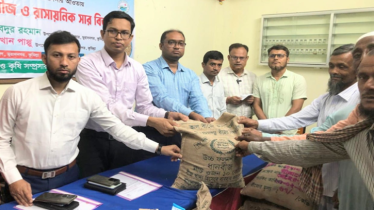 মুরাদনগরে বিনামূল্যে আউশের বীজ ও সার বিতরণ