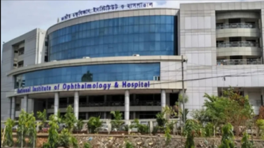 ১১ জন দুই চোখ , ৪৯৩ জন এক চোখের দৃষ্টি চিরতরে হারিয়েছেন