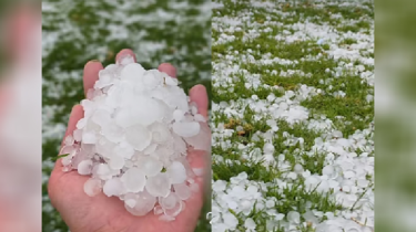 সৌদি আরবে বিরল শিলাবৃষ্টি, বন্যায় বিপর্যস্ত তায়েফের ভিডিও ভাইরাল