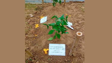 শহীদ হাদির এপিটাফে যা লেখা আছে শহীদ হাদির এপিটাফে যা লেখা আছে