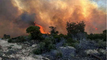 দাবানলে পুড়ছে অস্ট্রেলিয়া, গৃহহীন বহু মানুষ