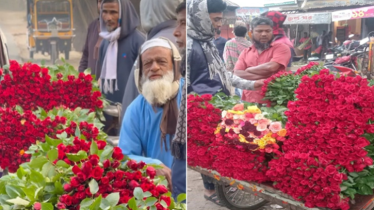ফুলে ভরেছে যশোরের গদখালী, চাষিদের মুখে ফের হাসি