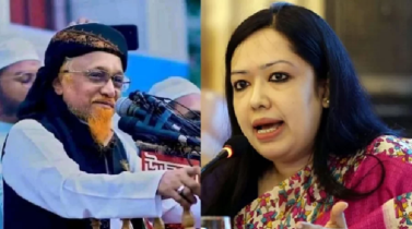 রুমিন ফারহানার পরিবর্তে জুনায়েদ আল হাবিবকে নিলো বিএনপি