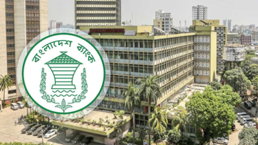 রিজার্ভ চুরি মামলার তদন্ত প্রতিবেদন দাখিল ১৩ জানুয়ারি রিজার্ভ চুরি মামলার তদন্ত প্রতিবেদন দাখিল ১৩ জানুয়ারি