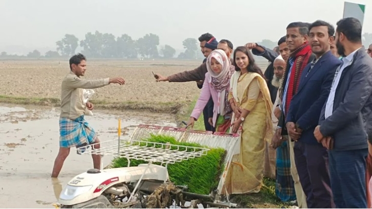 সমলয় পদ্ধতিতে ধান চাষ শুরু আখাউড়ায় সমলয় পদ্ধতিতে ধান চাষ শুরু আখাউড়ায়
