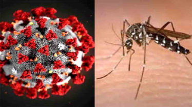 ডেঙ্গু-করোনা মোকাবিলায় হাসপাতালগুলোর জন্য নতুন নির্দেশনা