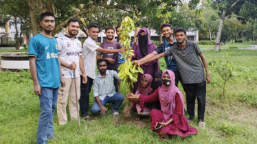 ইবিতে তরুণ কলাম লেখক ফোরামের বৃক্ষরোপণ কর্মসূচি