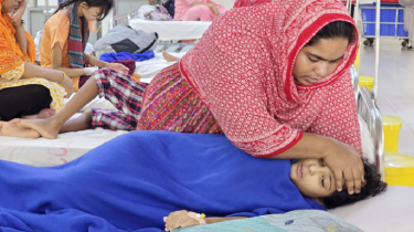 ডেঙ্গুতে আরও ২ জনের মৃত্যু, ২৪ ঘণ্টায় হাসপাতালে ভর্তি ৩৩৭ জন