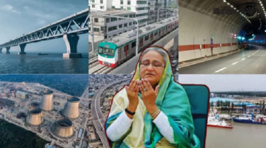 অপরাধ নয় বরং উন্নয়ন নিয়ে ব্যস্ত ছিলেন হাসিনা: আইনজীবী আমির হোসেন