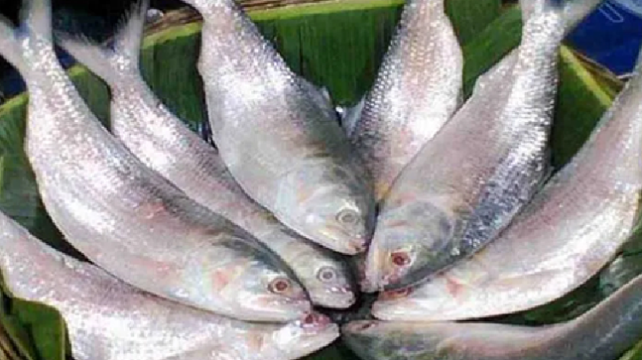 বাংলাদেশের ইলিশ চেয়ে ভারতের চিঠি