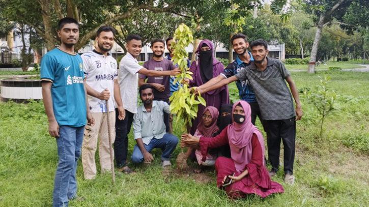 ইবিতে তরুণ কলাম লেখক ফোরামের বৃক্ষরোপণ কর্মসূচি