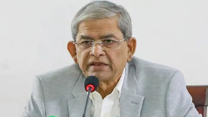 খায়রুল হকই রাজনৈতিক সংকটের মূল দায়ী: মির্জা ফখরুল