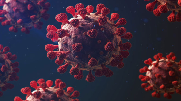 করোনায় নতুন করে শনাক্ত ২১ জন, মৃত্যু নেই