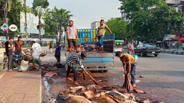 সরকার নির্ধারিত দরে বিক্রি হচ্ছে না চামড়া