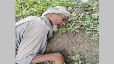 কোরবানির মাংস নিতে এসে হঠাৎ বৃদ্ধার মৃত্যু, এলাকায় শোকের ছায়া