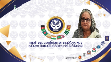 একাদশ নির্বাচন পর্যবেক্ষণে গিয়ে অনুতপ্ত দেশি-বিদেশি পর্যবেক্ষক