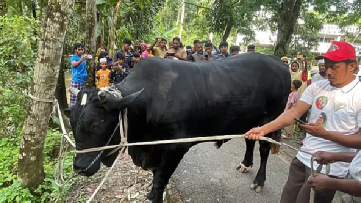 ‘কালো মানিক’ উপহার নেবেন না খালেদা জিয়া