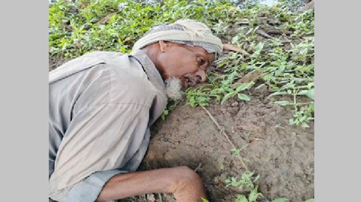 কোরবানির মাংস নিতে এসে হঠাৎ বৃদ্ধার মৃত্যু, এলাকায় শোকের ছায়া