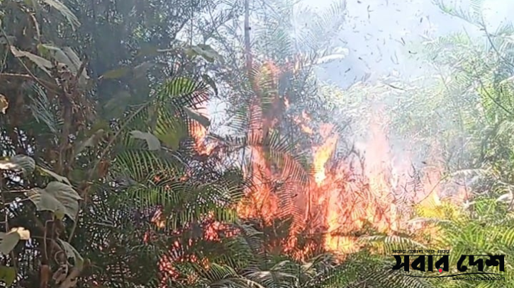 সিংড়া জাতীয় উদ্যানে আগুন ধরিয়ে দিয়েছে দুর্বৃত্তরা