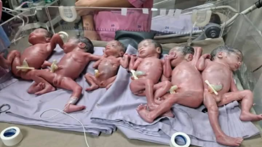 মরিয়ম বেগমের গর্ভে জন্ম নিলো ৬ নবজাতক 