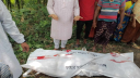 শৈলকুপায় ট্রাকচাপায় স্কুলছাত্র নিহত
