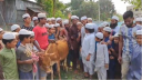 আ’লীগ নিষিদ্ধে রফিকুল মাদানীর বিরিয়ানি উৎসব