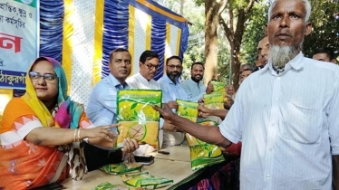 ঠাকুরগাঁওয়ে ক্ষুদ্র ও প্রান্তিক কৃষকদের মাঝে প্রণোদনা বিতরণ