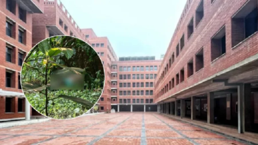 ইস্ট ওয়েস্ট বিশ্ববিদ্যালয়ের দুই ভবনের মাঝ থেকে শিক্ষার্থীর লাশ উদ্ধার