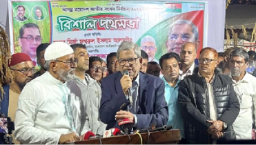 একটি দল দেশে বিশৃঙ্খলা সৃষ্টির চেষ্টা করছে: মির্জা ফখরুল