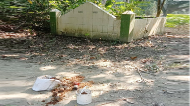 শার্শায় কবরস্থান থেকে ৬টি অবিস্ফোরিত ককটেল উদ্ধার