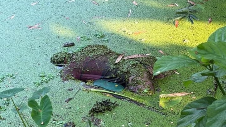 বেনাপোলে ডোবা থেকে মানসিক প্রতিবন্ধী যুবকের লাশ উদ্ধার