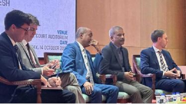 অনলাইন জামিননামা চালু কাল থেকে: আসিফ নজরুল