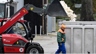 বার্ড ফ্লু আতঙ্কে জার্মানিতে ৫ লাখ হাঁস-মুরগি নিধন