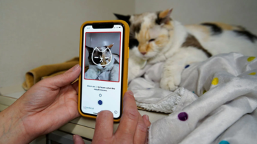 বিশ্বের প্রথম পোষ্য স্মার্টফোন ‘পেটফোন’ উন্মোচিত