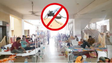 ডেঙ্গুতে একদিনে আরও ৯ জনের মৃত্যু, নতুন ভর্তি ১০৪২