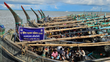 মা ইলিশ সংরক্ষণ অভিযানে ২০ কোটি টাকার মালামাল জব্দ