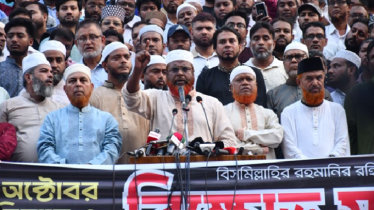 নভেম্বরের মধ্যেই গণভোট দিতে হবে: গোলাম পরওয়ার