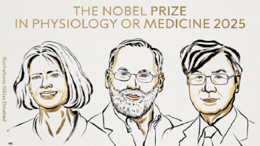 চিকিৎসায়শাস্ত্রে নোবেল পেলেন তিন বিজ্ঞানী