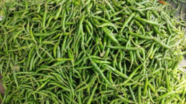 আমদানি বন্ধে ও টানাবৃষ্টিতে কাঁচা মরিচে আগুন