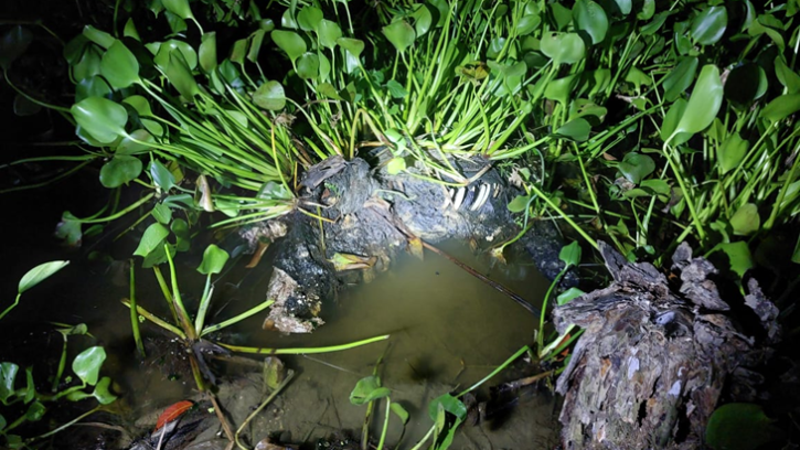 নিখোঁজের ১০ মাস পর বাওড়ে মিললো মাদক পাচারকারীর লাশ