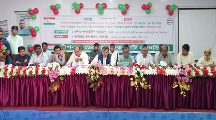 পিআর মানে স্থায়ী অস্থিরতা, আ.লীগের হাতেই কলকাঠি: সালাহউদ্দিন