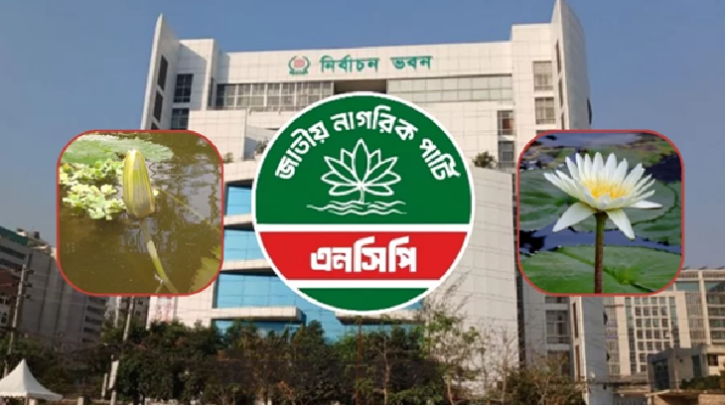 ‘শাপলা কলি’ নয়, ফোটানো ‘শাপলাই’ চায় এনসিপি