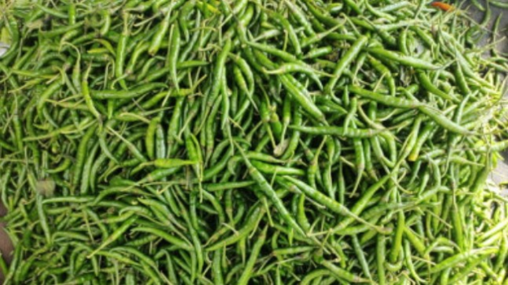 আমদানি বন্ধে ও টানাবৃষ্টিতে কাঁচা মরিচে আগুন