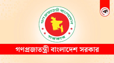 রাজবাড়ীর ঘটনায় অন্তর্বর্তী সরকারের বিবৃতি