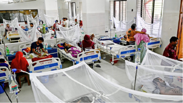 ডেঙ্গু কেড়ে নিলো আরও ৬ প্রাণ